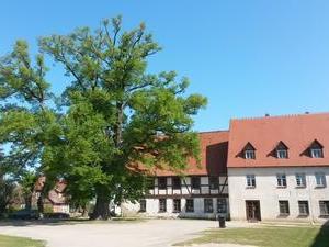 R&uuml;hn