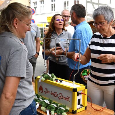 Bild vergr&ouml;&szlig;ern: B&uuml;tzower G&auml;nsemarkttage 2024 - (c) Angelika Heim (24)