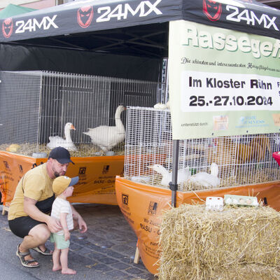 Bild vergr&ouml;&szlig;ern: B&uuml;tzower G&auml;nsemarkttage 2024 (c) Wolfgang Ehlers (7)